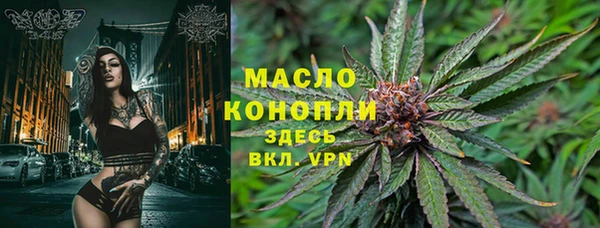 mdpv Краснослободск