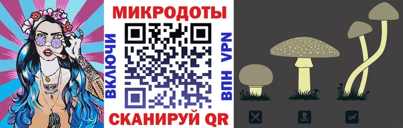 дарк нет какой сайт  купить  сайты  Ачхой-Мартан  Галлюциногенные грибы мицелий 
