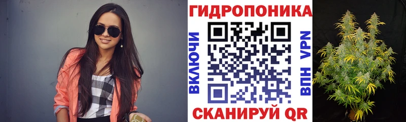 сайты даркнета Telegram  ОМГ ОМГ ссылка  Ачхой-Мартан  Шишки марихуана план 